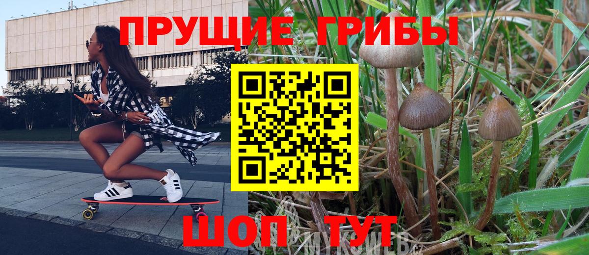 Псилоцибиновые грибы Cubensis Искитим